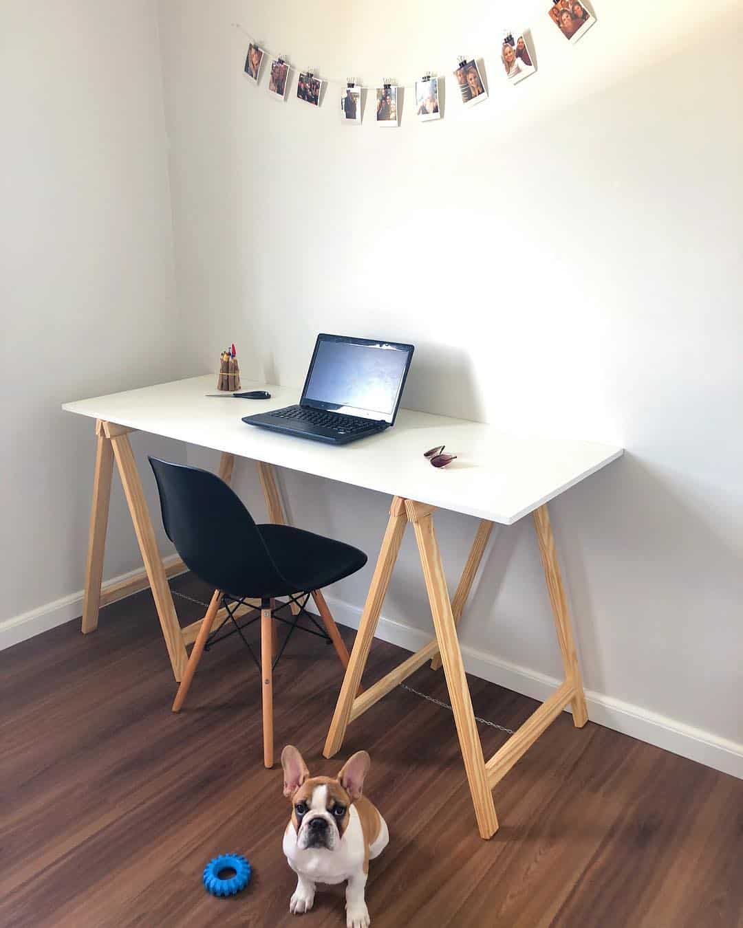 Home Office 2022: 17 Best Trends for Home Office Decor